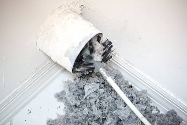 Best Affordable HVAC Duct Cleaning  in Yuma, AZ